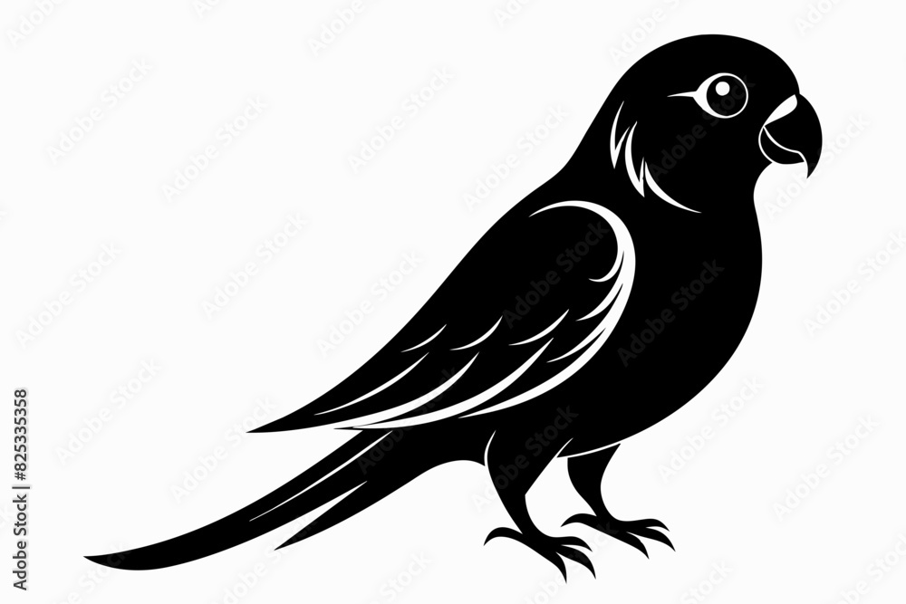 Fototapeta premium A parakeet bird silhouette black vector artwork illustration