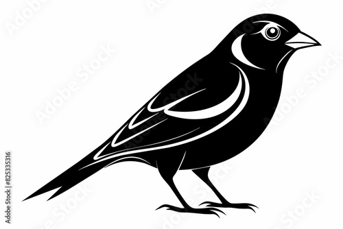 A finch bird silhouette black vector artwork illustration