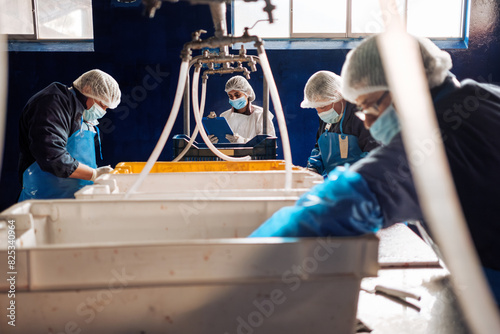 fish food processing plant