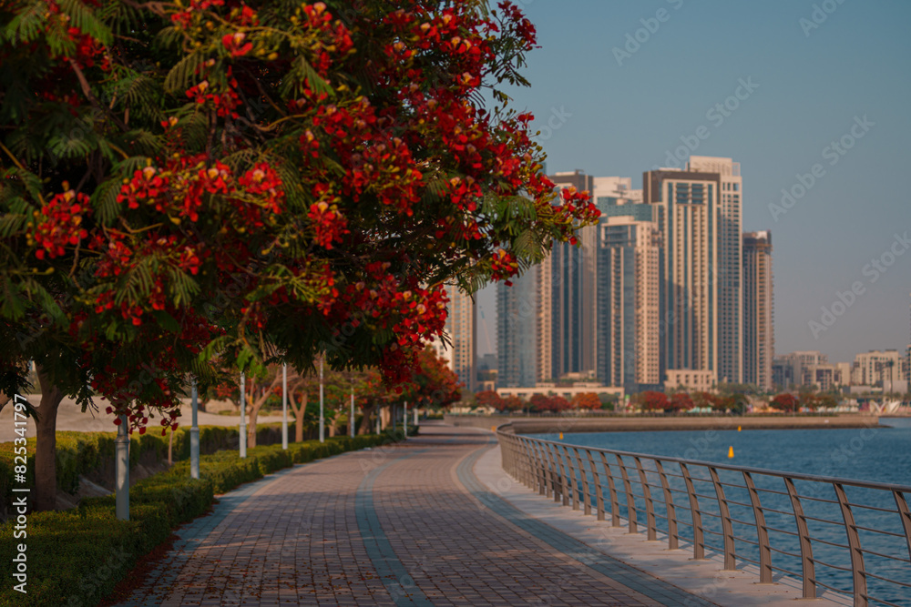 city park in autumn city park in autumn