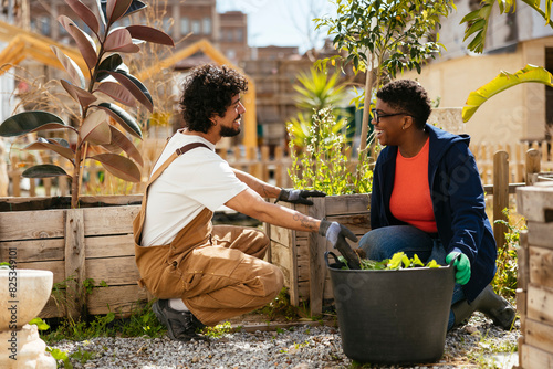 Volunteers cooperate at urban community garden photo