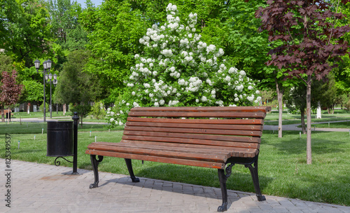 wooden bench in the park in spring against the background of a flowering bush