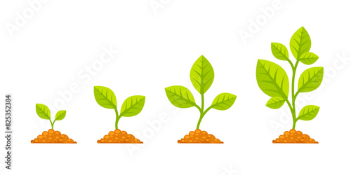 Tree grow with green leaf. Phases plant growing. Stages increase of finance in entrepreneurship.