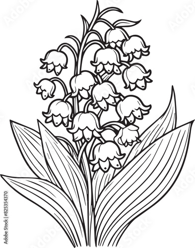 Lily of the Valley vector art, monochrome floral illustration. ink vector illustration hand drawn pencil sketch, a branch of botanical collection simplicity, artistic, coloring book for children 