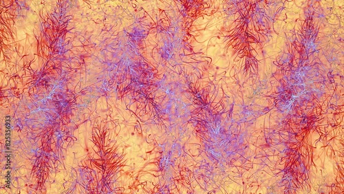 Red Organic Strange Abstraction. Multicolor Red, Orange and Blue Chaotic Filaments. Looped video. photo