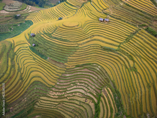 Aerial view of mu cang chai rice terraces in Vietnam.