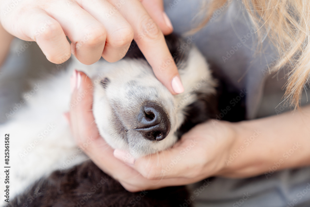 A Gentle Touch A Gentle Touch