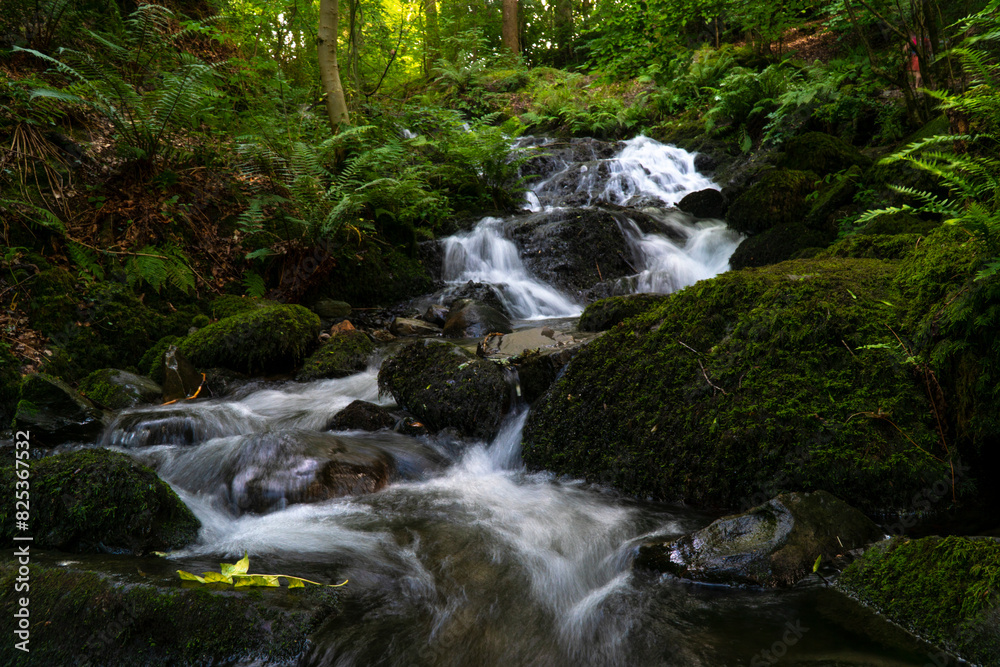 Small waterfall amid mossy rocks and trees in a serene setting