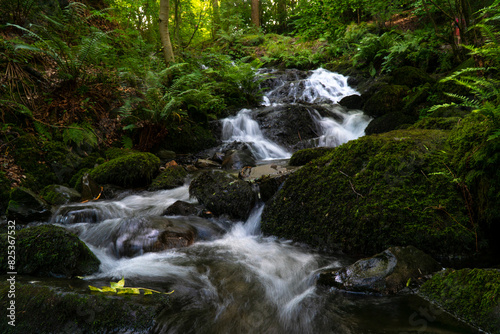 Small waterfall amid mossy rocks and trees in a serene setting