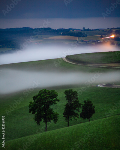 Serene Misty Hill