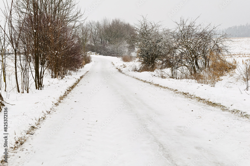 Naklejka premium Road covered with snow and bushes, winter in Germany
