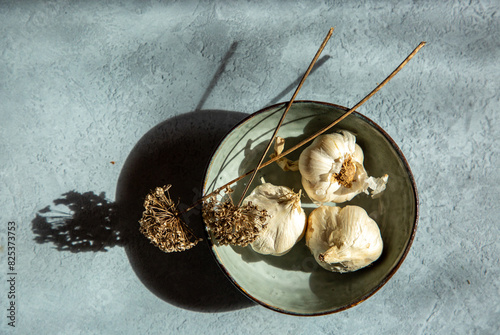 Garlic bulbs and dried allium flowers photo