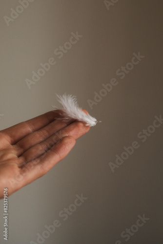 White feather on a man's hand photo