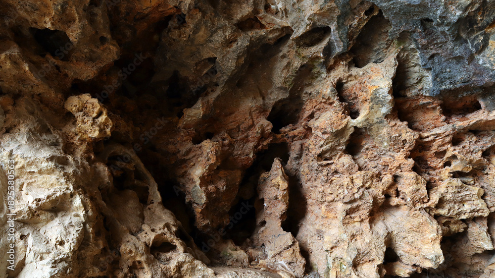 Obraz premium This close-up view showcases intricate details of a rock formation within Cave Denia, highlighting the natural textures and patterns. Rugged surface of rock reflects effects of geological processes