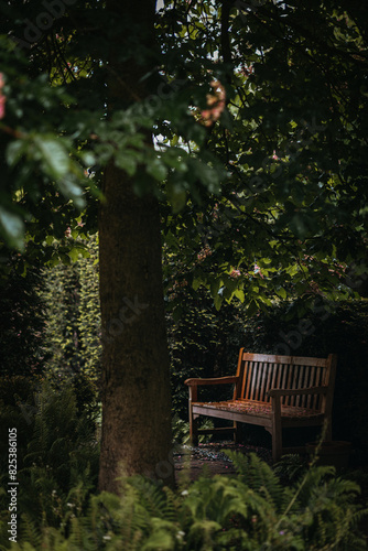 Bench on bucolic garden photo