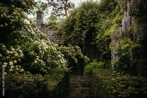 House hidden by luscious vegetation photo