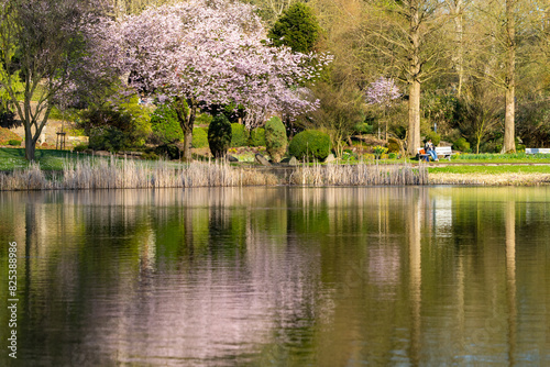 Scenic view of Westfalenpark in Dortmund, Germany photo