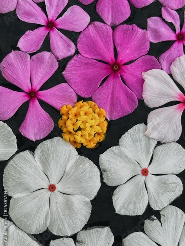 Pattern of tropical flowers in the water photo