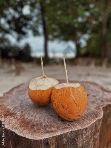 Two coconuts with a straw photo
