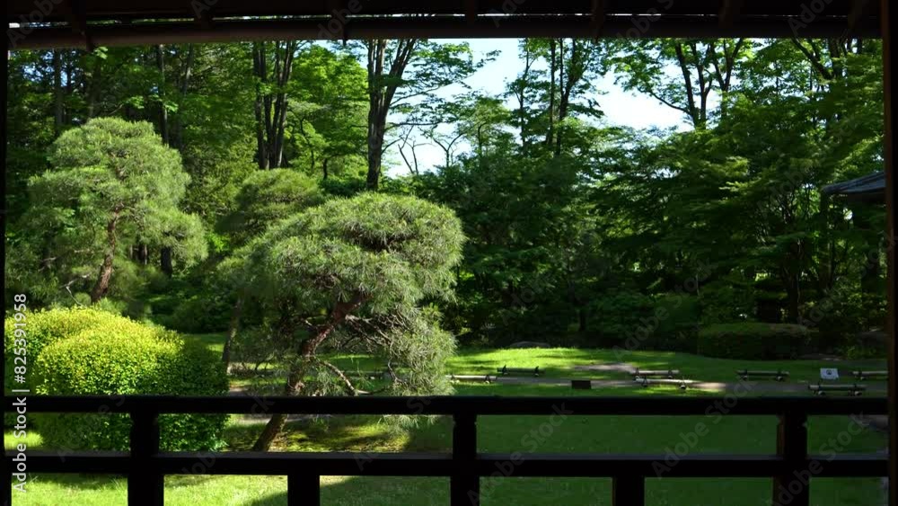 Push in walking toward Japanese landscape garden as seen from silhouetted window Push in walking toward Japanese landscape garden as seen from silhouetted window