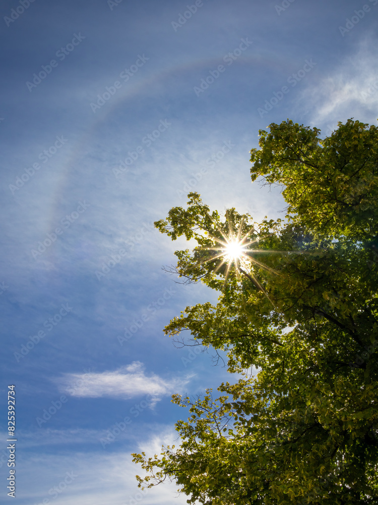 Halo effect on the blue sky with the bright sun shining through green ...