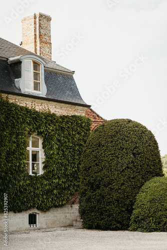 Ivy-covered house with manicured shrubbery