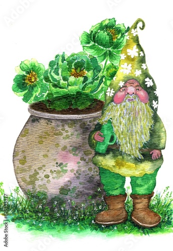 watercolor illustration with a dwarf in a clover hat next to a pot with green blooming peonies on white background. A hand-drawn summer postcard. St. Patrick's Day with a leprechaun