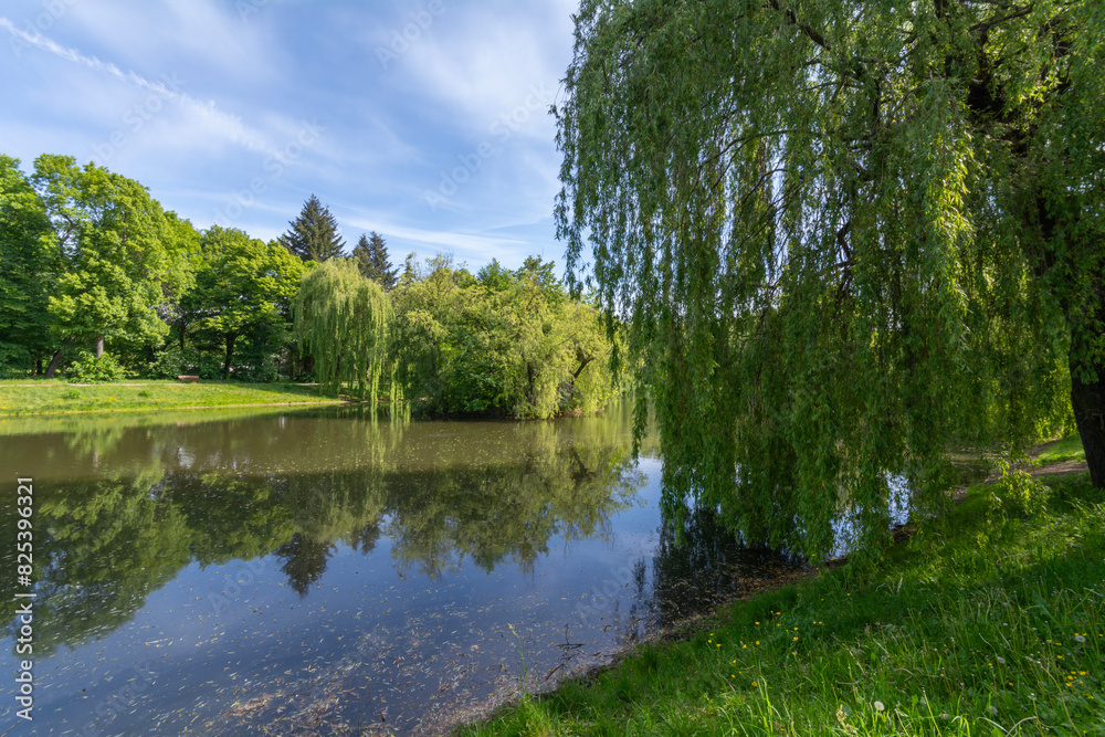 Spring version of Widzewski Park in Łódź, Poland. Spring version of Widzewski Park in Łódź, Poland.