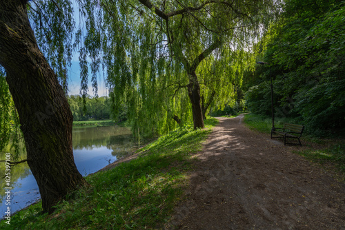 Spring version of Widzewski Park in Łódź, Poland.