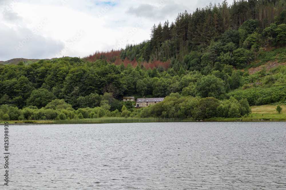 Serene lake with rural structures on the shore surrounded by lush greenery Serene lake with rural structures on the shore surrounded by lush greenery