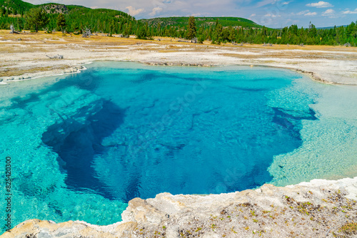 Geyser in Yellowstone National Park