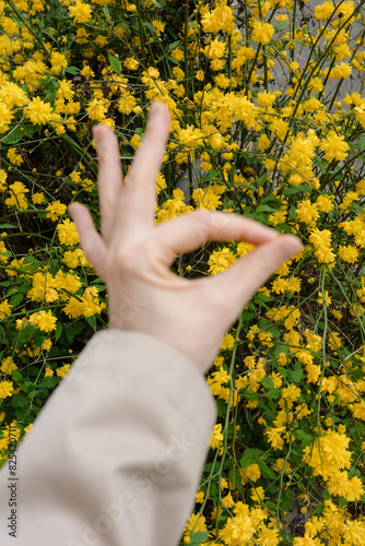 A hand showing a sign that everything is OK photo