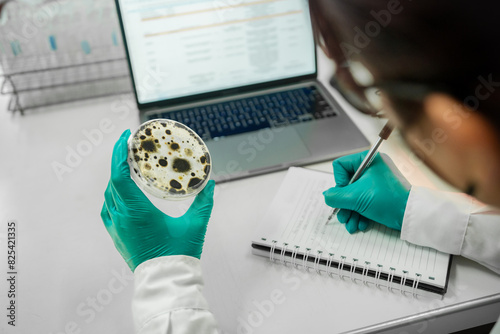 Scientist analyzing microbial culture sample at laboratory