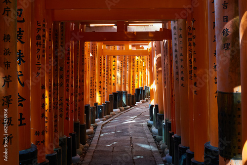 Red Torii Gates At The Fushimi Inari Taisha Shrine In Kyoto, Japan. photo