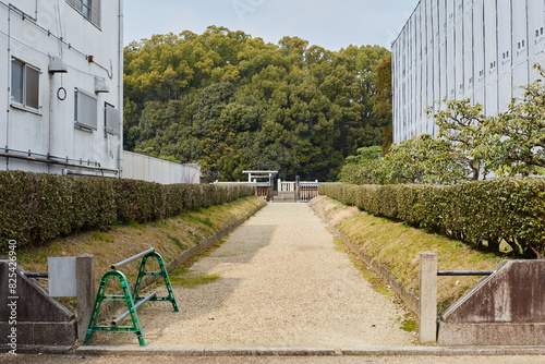 Scenic Alley In Nara, Japan.