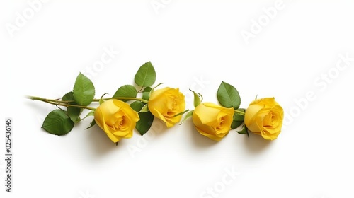 AI generated illustration of a yellow rose on a white background
