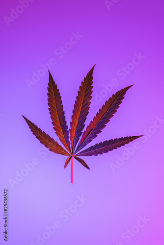 Purple cannabis hemp leaf on a vibrant purple background