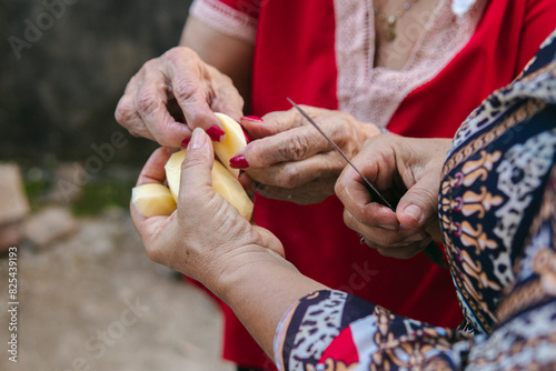Two women cutting potatoes photo