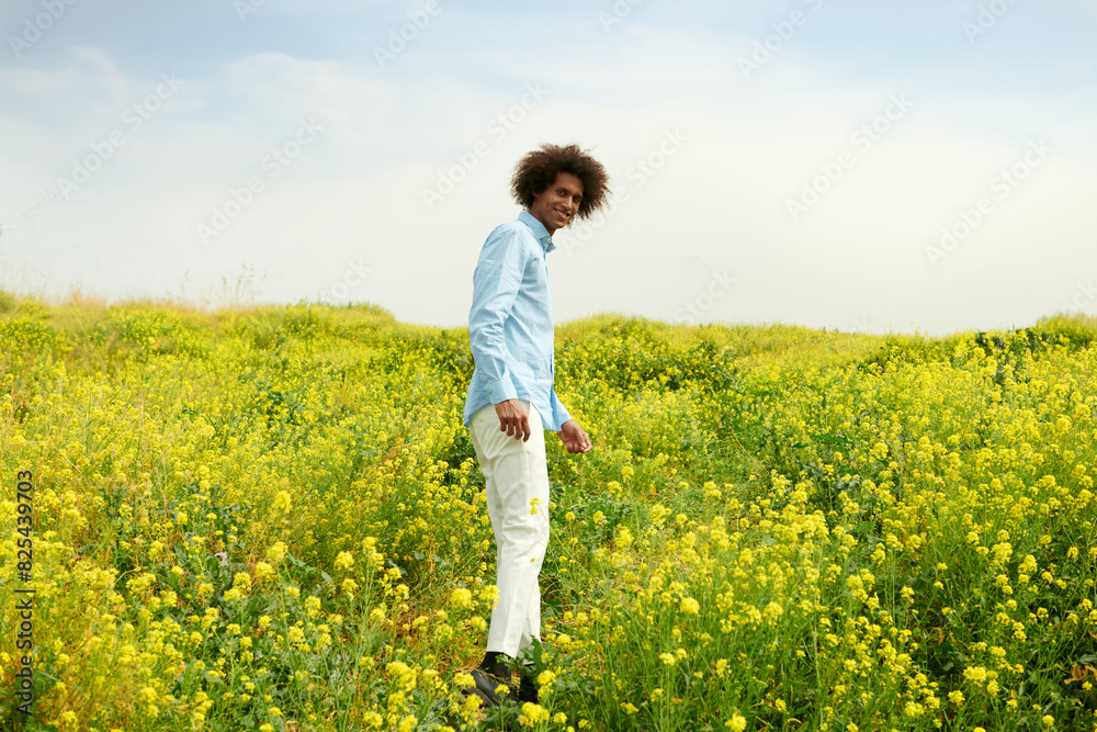 Flower Field 