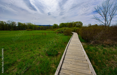 Appalachian Trail Vernon New Jersey photo