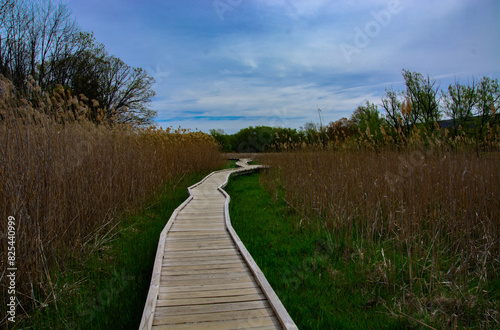 Appalachian Trail Vernon New Jersey photo