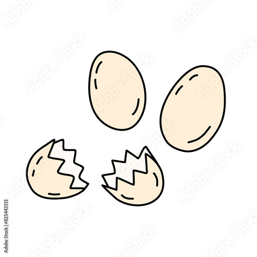 Fresh farm eggs whole and broken, cooking or baking ingredients, doodle style vector