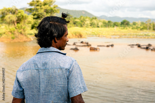 Buffalo herder in Sri Lanka photo