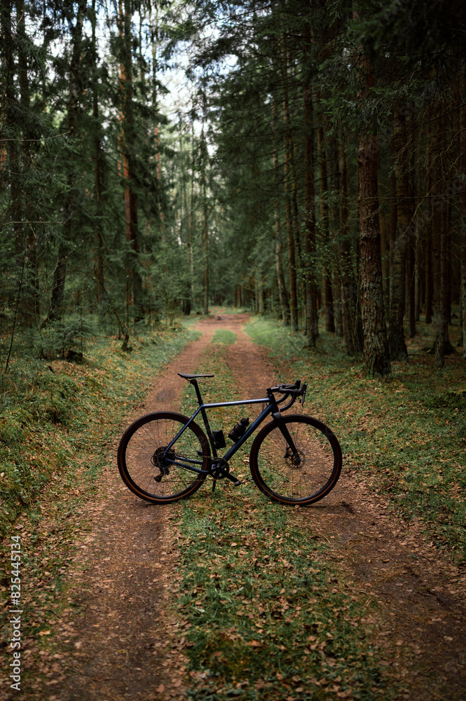 Gravel bike standing in the forest Gravel bike standing in the forest