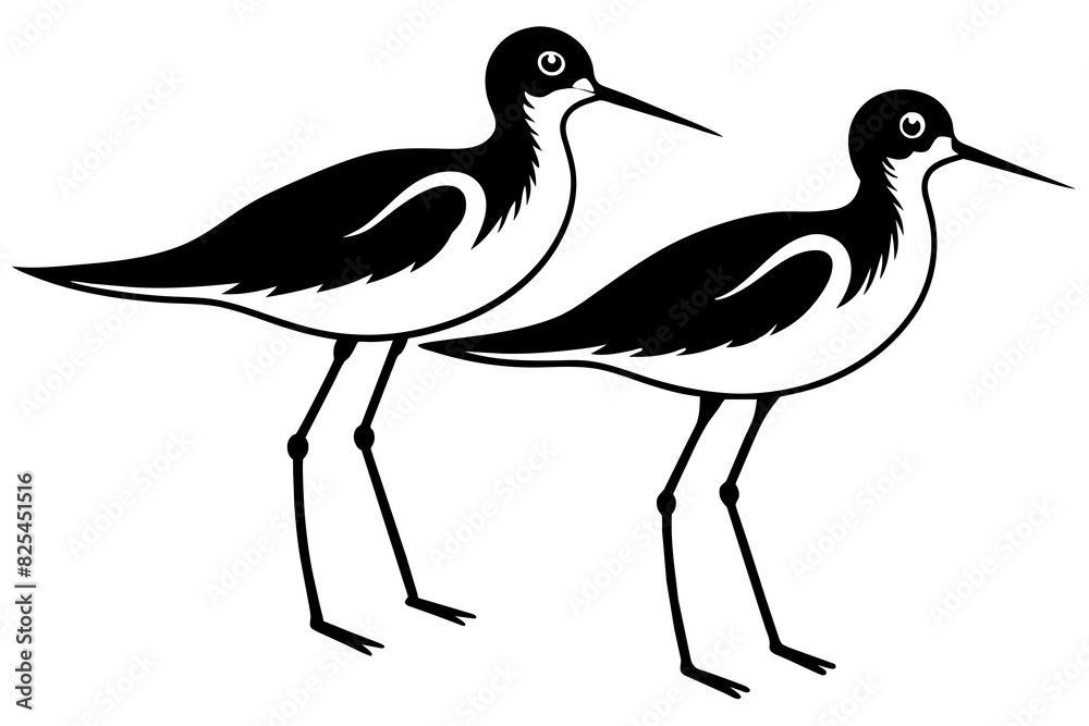 sandpiper bird vector silhouette illustration sandpiper bird vector silhouette illustration