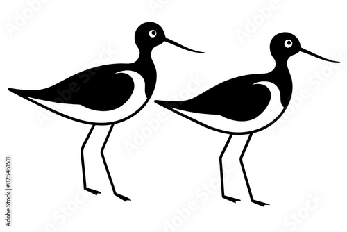 sandpiper bird vector silhouette illustration