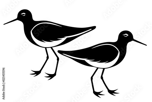 sandpiper bird vector silhouette illustration