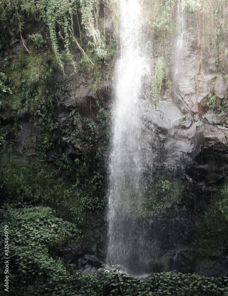 Scenic view of the Anse waterfalls in Sainte-Rose, Reunion. Scenic view of the Anse waterfalls in Sainte-Rose, Reunion.