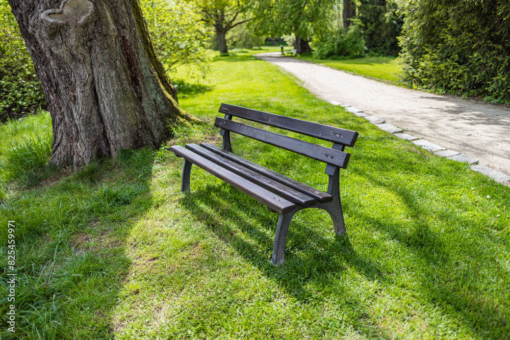 Bench in empty spring park with path on background Bench in empty spring park with path on background