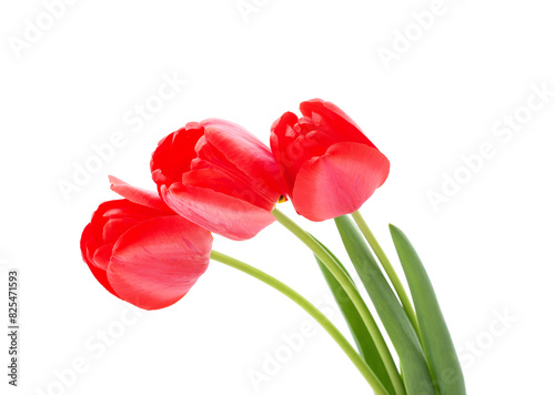 Three red tulips.